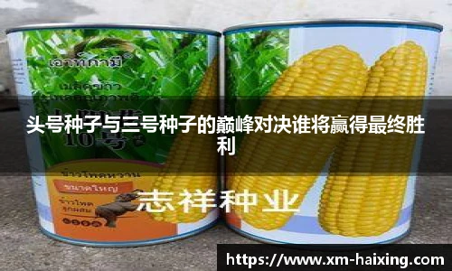 海星直播